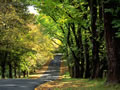 Autumn2
