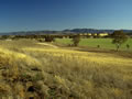 Fields