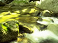 Rapids